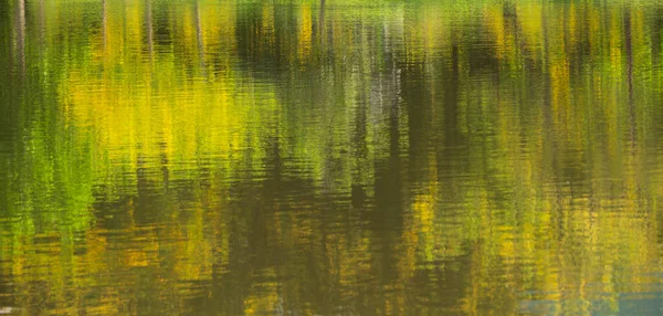 绿树和黄花映照在公园池塘的水面上 模糊了抽象的背景 — 图库照片