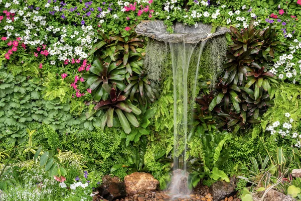 垂直郁郁葱葱的绿叶植物和有瀑布的花园装饰墙 — 图库照片
