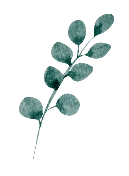 Green Leaf Watercolor White Background — Zdjęcie stockowe