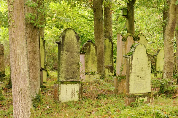 Juedischer Friedhof - cimitero ebraico 13 — Foto Stock