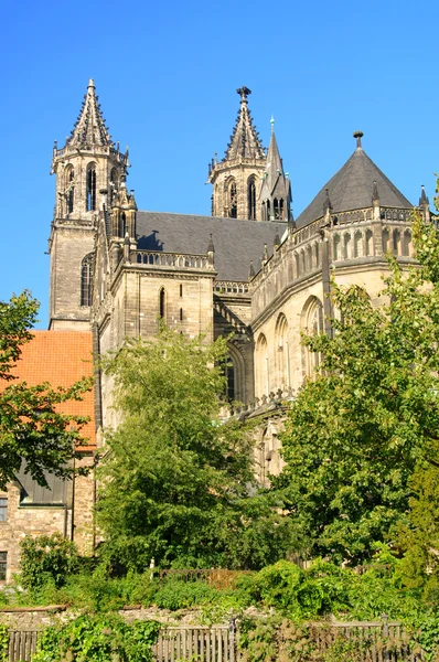 Catedral de Magdeburgo 01 — Fotografia de Stock