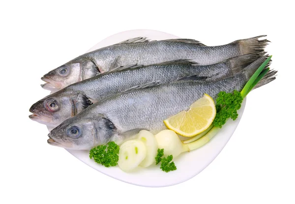 Wolfsbarsch - seabass 02 — Stock Photo, Image