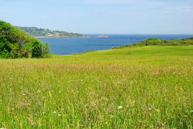 Hendaye kıyısında çayır 01