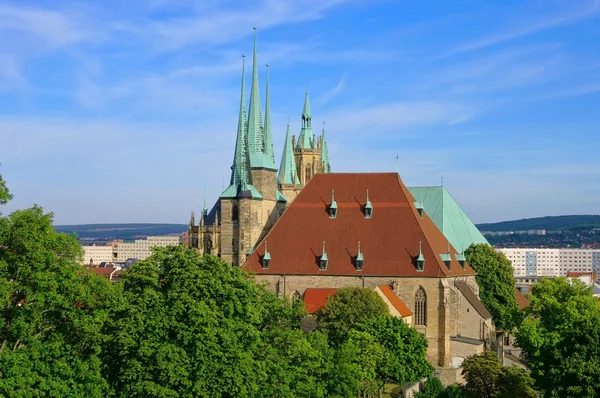 Erfurter Münster 10 — Stockfoto