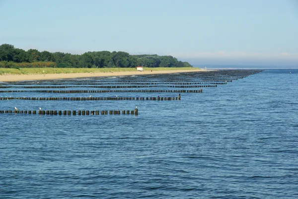 Baltische Zee strand 26 — Stockfoto