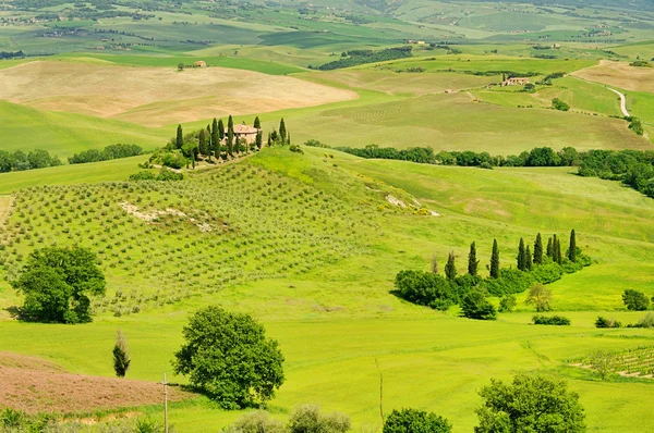 イタリアのトスカーナの緑の丘 — ストック写真