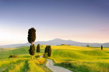 Podere Terrapille 04