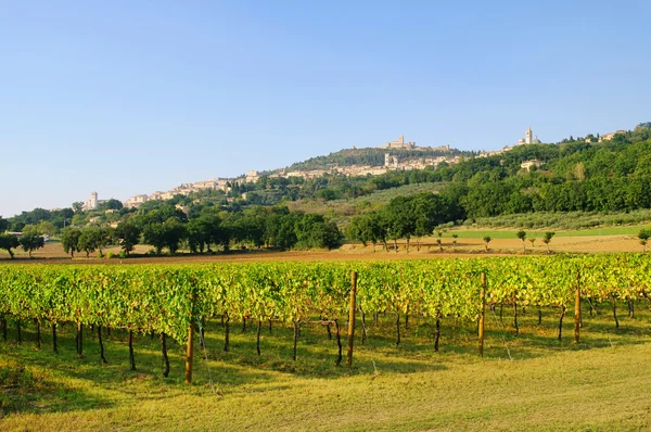 Assisi 08 — Stock fotografie