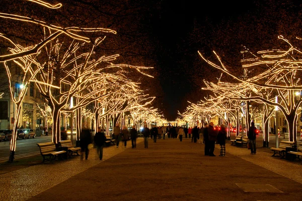 Berlín unter den linden vánoční - Vánoce stromy linden v Berlíně — Stock fotografie