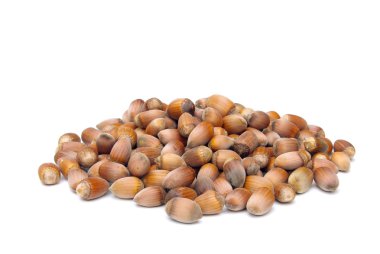 haselnuss - fındık 14