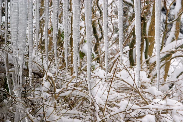 Eiszapfen - Eiszapfen 01 — Stockfoto