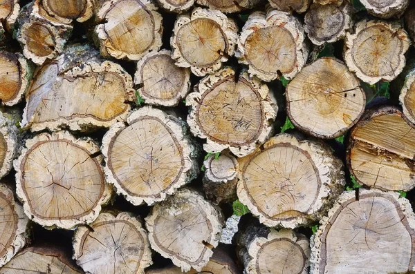 堆栈的木头从软木橡树 01-holzstapel korkeiche — 图库照片