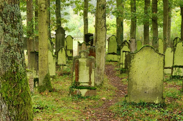 Juedischer friedhof - židovský hřbitov 07 — Stock fotografie