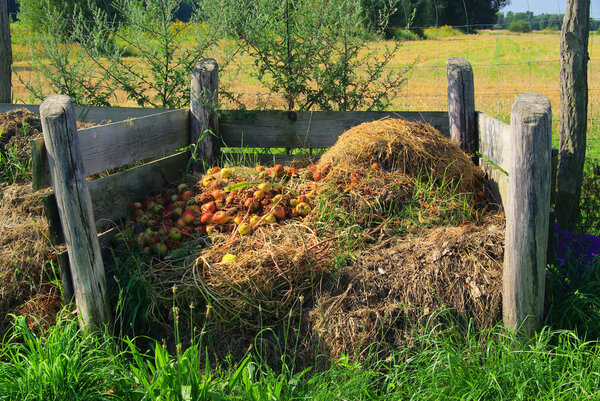 Komposthaufen - compost pile 05