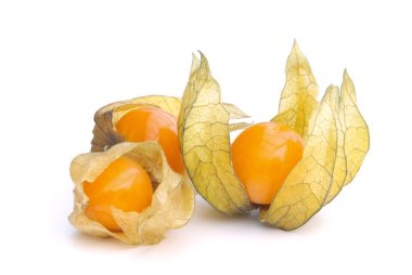 Physalis 12