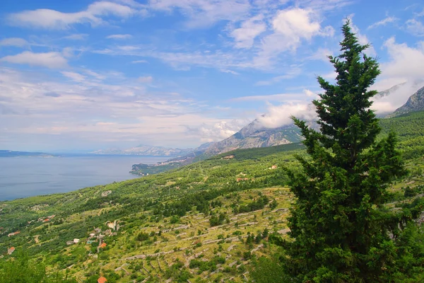 Makarska rivieran 35 — Stockfoto