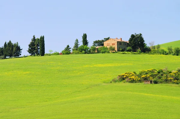 Tuscan farmhouse and cypress trees on a hill, Italy — Stock Photo, Image