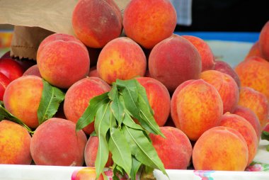 pfirsich - şeftali 06