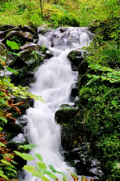 Bad Bertrich Wasserfall - Bad Bertrich vízesés 01 — Stock Fotó