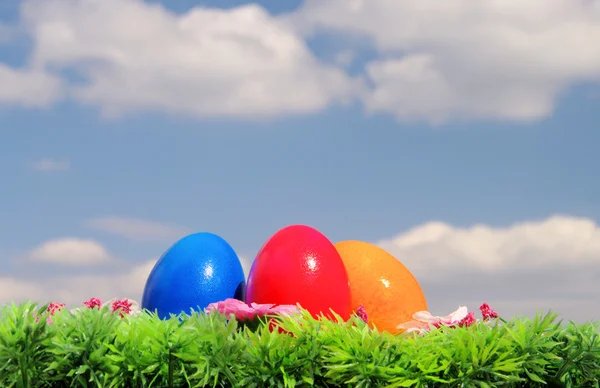 Ostereier auf Blumenwiese mit Himmel - húsvéti tojást a virág meadow és az ég — Stock Fotó