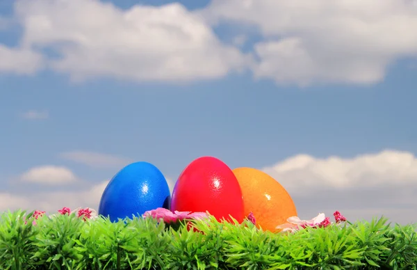 Ostereier auf blumenwiese mit himmel - påskägg på blomma äng och sky — Stockfoto