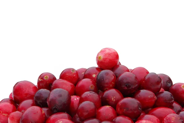 Cranberry 12 — Stock Photo, Image