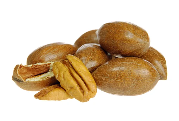 Pecannuss - noce pecan 06 — Foto Stock