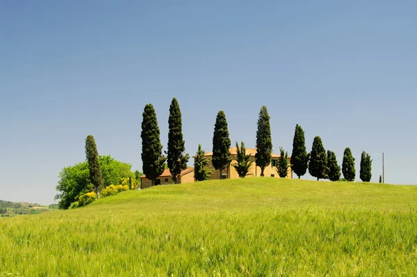 Αγροικία της Τοσκάνης και κυπαρίσσια σε ένα λόφο, Ιταλία — Φωτογραφία Αρχείου