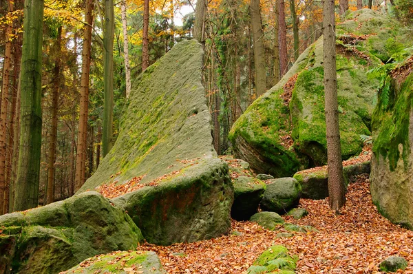 Sandsteinfelsen im Wald - erdőben 15 homokkő rock — Stock Fotó