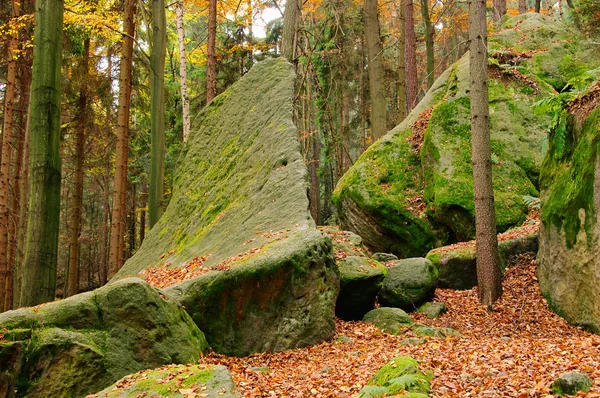 Sandsteinfelsen im wald - Sandsteinfelsen im Wald 15 — Stockfoto