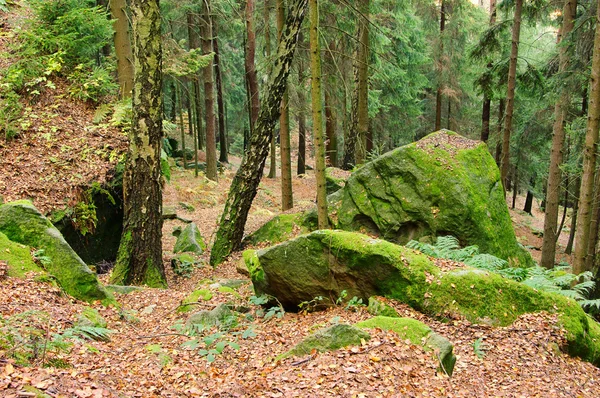 Sandsteinfelsen im Wald - sandstone rock in forest 25 — Stock Photo, Image