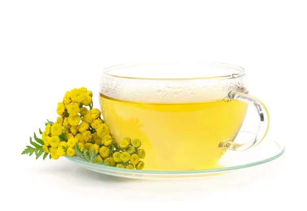 Tee Rainfarn - tea tansy 01 — Stock Photo, Image