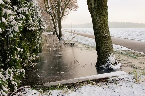 Wassergraben im Winter - water ditch in winter 04 — Stock Photo, Image