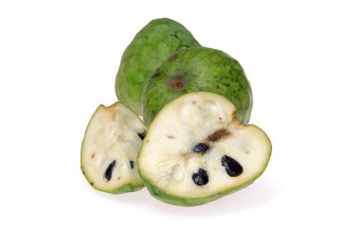 Cherimoya 06