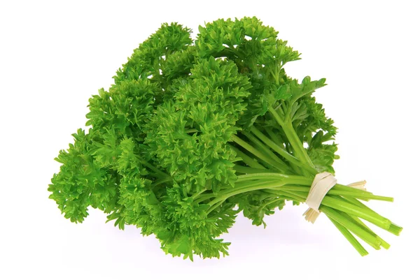 Petersilie - parsley 21 — Stock Photo, Image