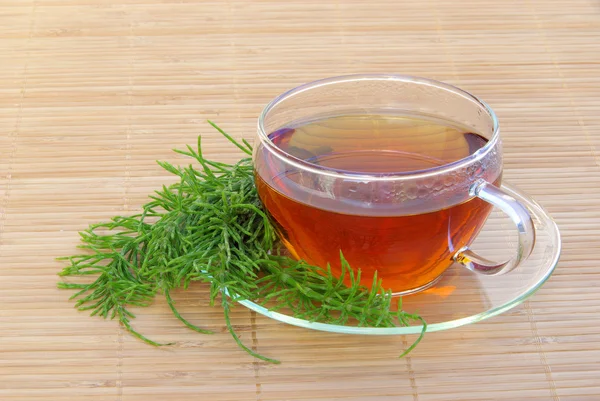 Tee Ackerschachtelhalm - tea field horsetail 02 — Stock Image Tee Ackerschachtelhalm - tea field horsetail 02 Royalty Free Stock Photos