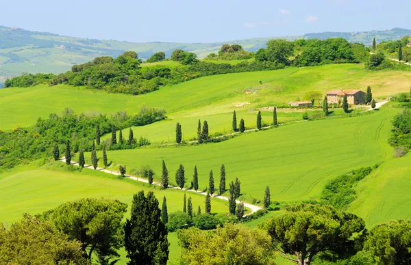 Πράσινοι λόφοι Τοσκάνης στην Ιταλία — Φωτογραφία Αρχείου