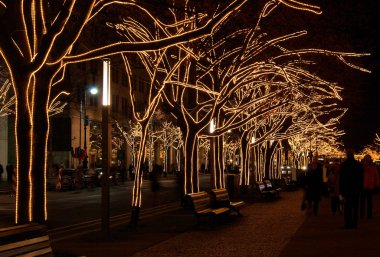 Noel 01 Berlin unter den linden weihnachten - berlin altında ıhlamur ağaçları