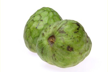 Cherimoya 03