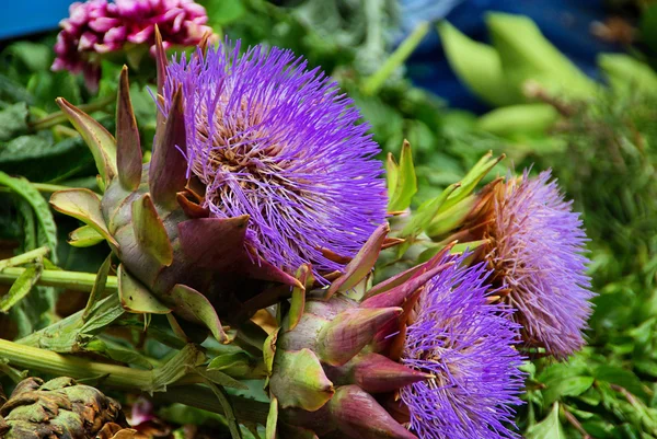 Artischocke - artichoke 01 — Stock Photo, Image