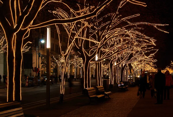 Noel 01 Berlin unter den linden weihnachten - berlin altında ıhlamur ağaçları — Stok fotoğraf