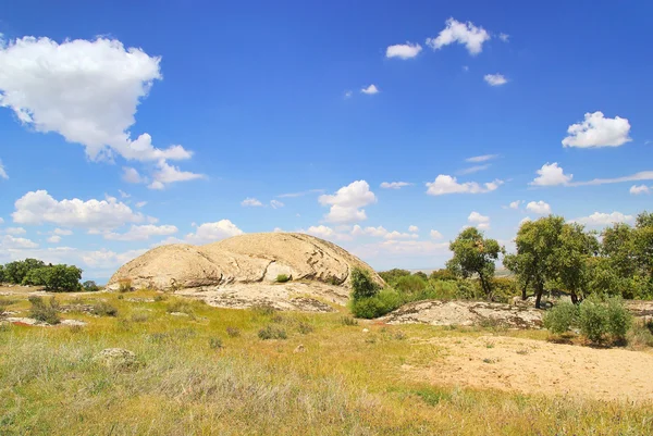 Dehesa und felsen - dehesa ve kayalar 01 — Stok fotoğraf