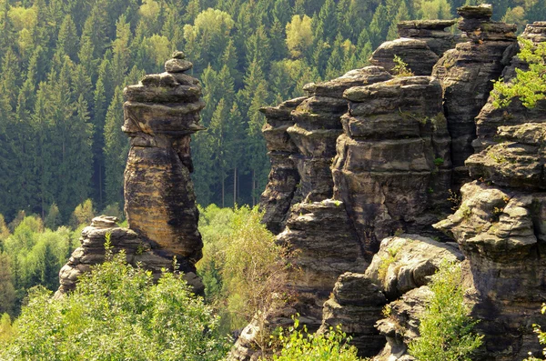 Bielatal - Biela valley 30