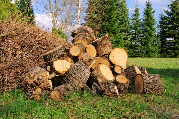 Holzstapel - stack av trä 29 — Stockfoto