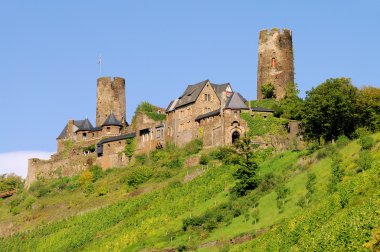 thurant burg - kale thurant 07