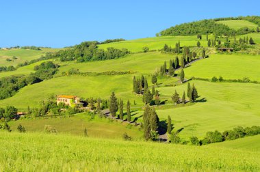 Zypressenkurven - cypress curve 27