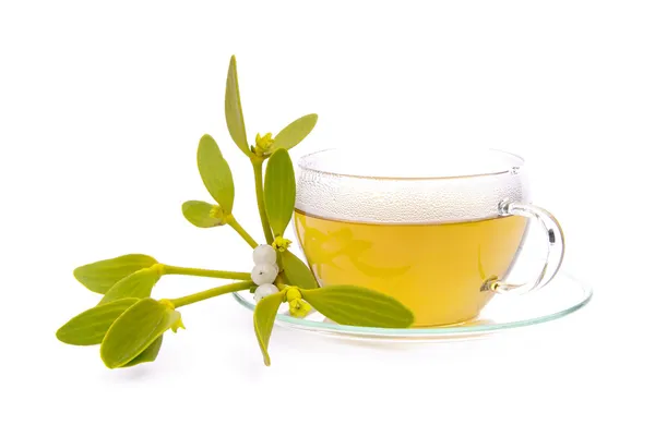 Tee Mistel - tea mistletoe 01 — Stock Photo, Image