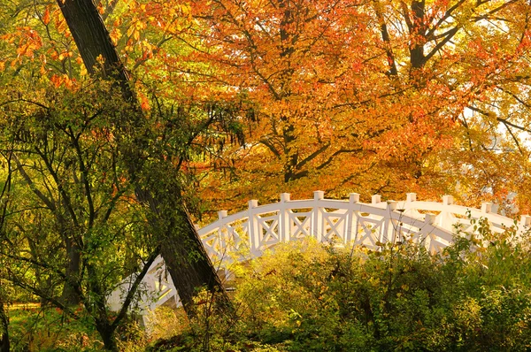 Woerlitzer Park Weisse Bruecke - Parco Inglese di Woerlitz White Bridge 1 — Foto Stock