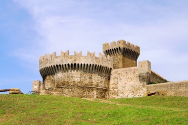 Polulonia 11