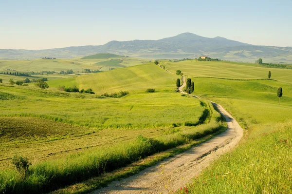 İtalya'da Toskana yeşil tepeler — Stok fotoğraf